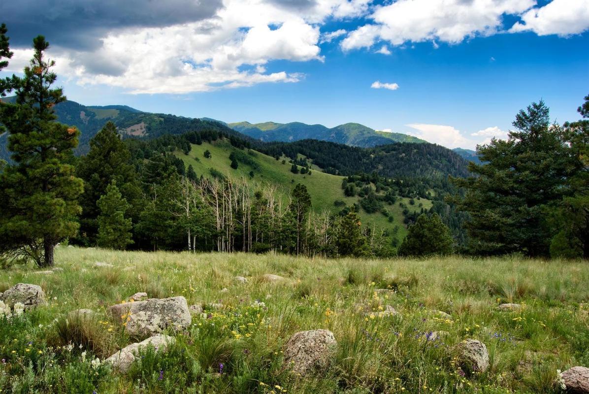 Perfect Cabin, 2 Bedrooms, Fireplace, Midtown, Sleeps 5 Ruidoso Eksteriør billede