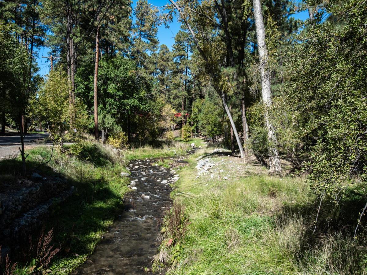 Perfect Cabin, 2 Bedrooms, Fireplace, Midtown, Sleeps 5 Ruidoso Eksteriør billede